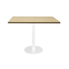 Square Flat Disc Base Table (8822102884632)