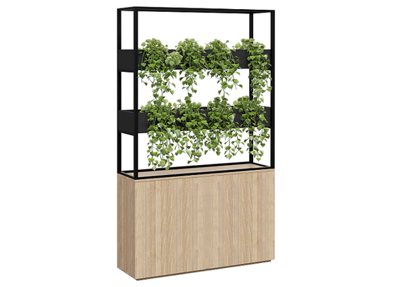 Cafe Vertical Garden (8872992211224)