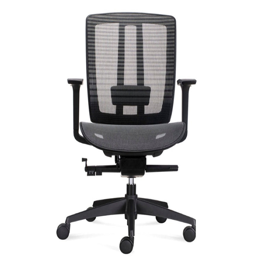 Oasis Chair (8817014014232)