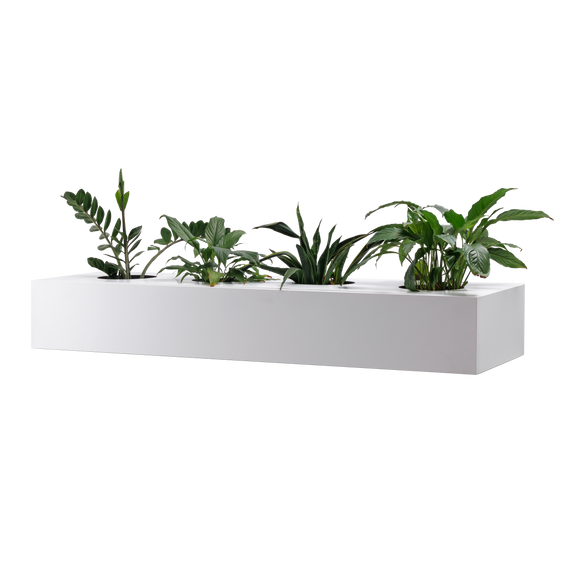 Cupboard Planter box for Perforated Cupboard (8822122381592)